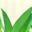 Checkmark for eco-friendly